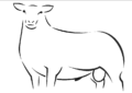 Char Aust Logo(2)(1)